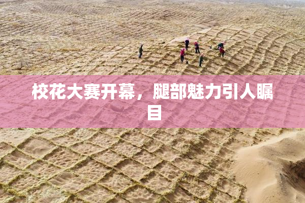 校花大赛开幕，腿部魅力引人瞩目
