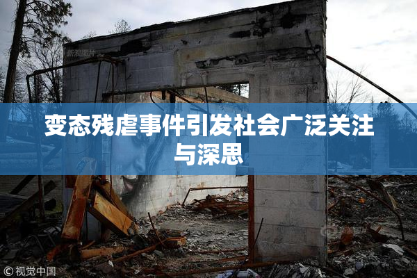 变态残虐事件引发社会广泛关注与深思