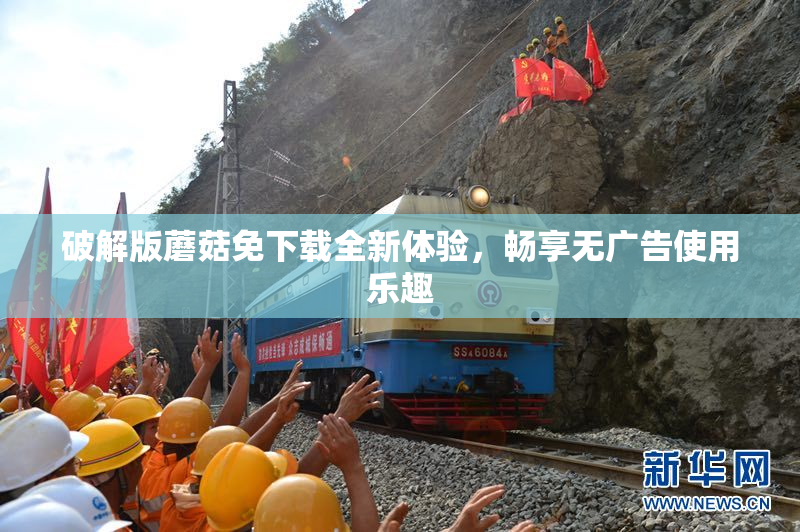 破解版蘑菇免下载全新体验，畅享无广告使用乐趣