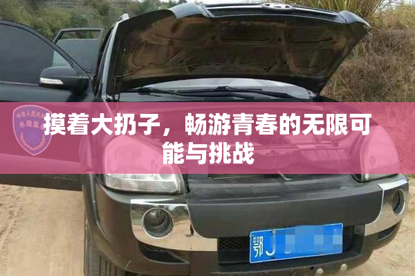 摸着大扔子，畅游青春的无限可能与挑战