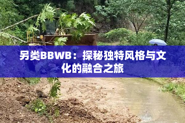 另类BBWB：探秘独特风格与文化的融合之旅