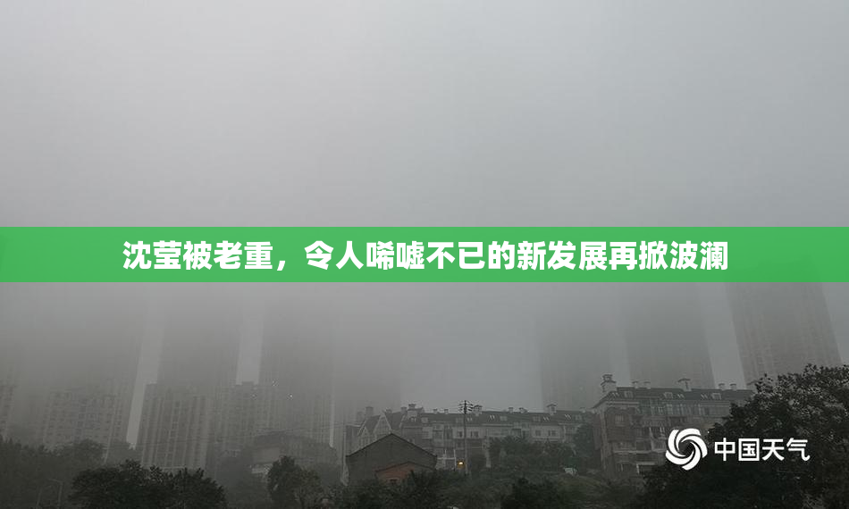 沈莹被老重，令人唏嘘不已的新发展再掀波澜