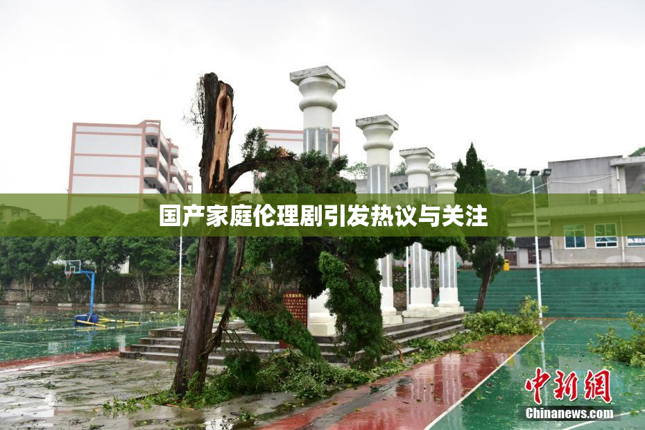 国产家庭伦理剧引发热议与关注