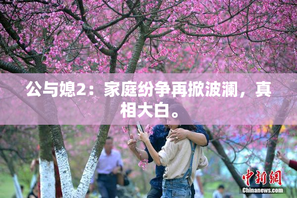 公与媳2：家庭纷争再掀波澜，真相大白。