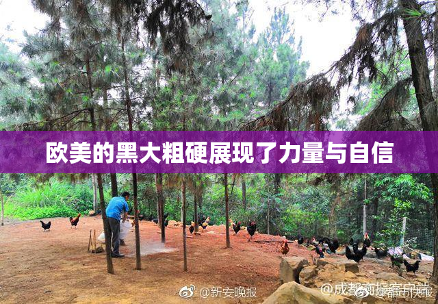欧美的黑大粗硬展现了力量与自信