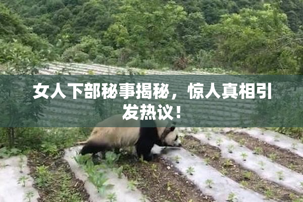 女人下部秘事揭秘，惊人真相引发热议！