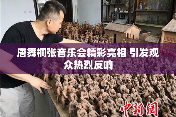 唐舞桐张音乐会精彩亮相 引发观众热烈反响