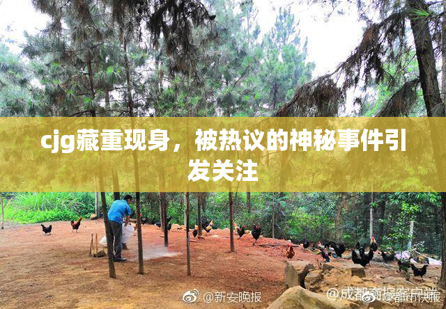 cjg藏重现身，被热议的神秘事件引发关注