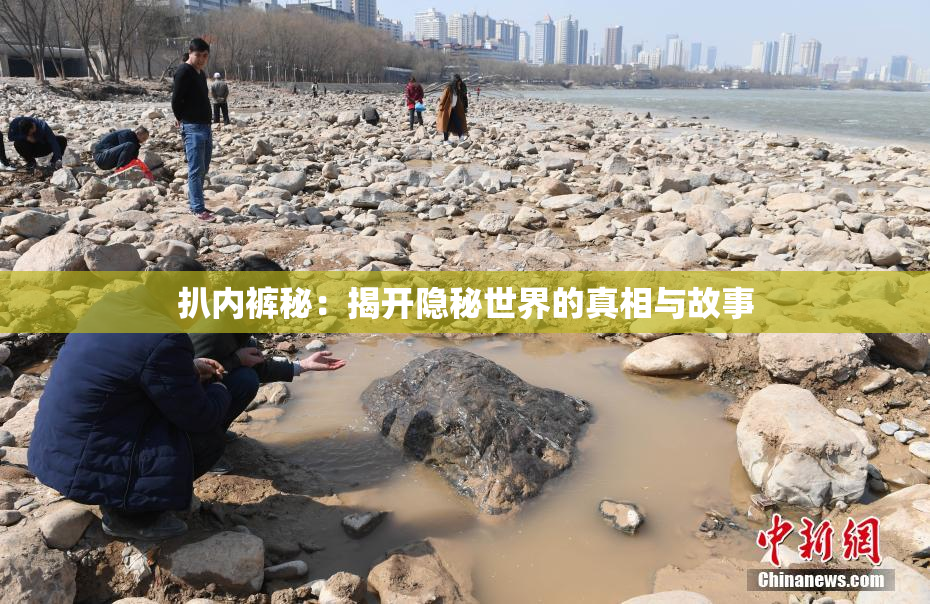 扒内裤秘：揭开隐秘世界的真相与故事
