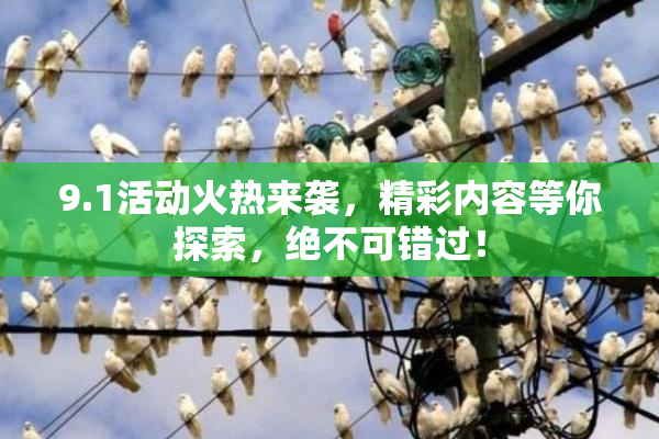 9.1活动火热来袭，精彩内容等你探索，绝不可错过！
