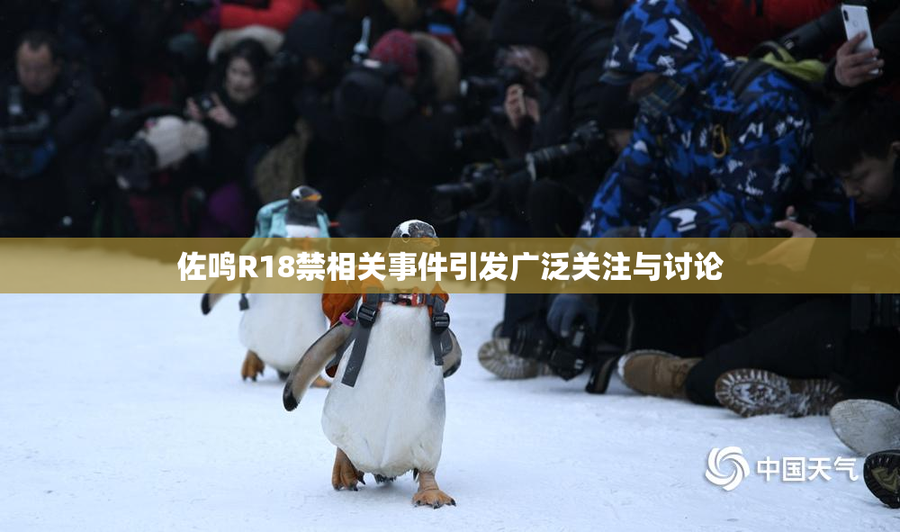 佐鸣R18禁相关事件引发广泛关注与讨论