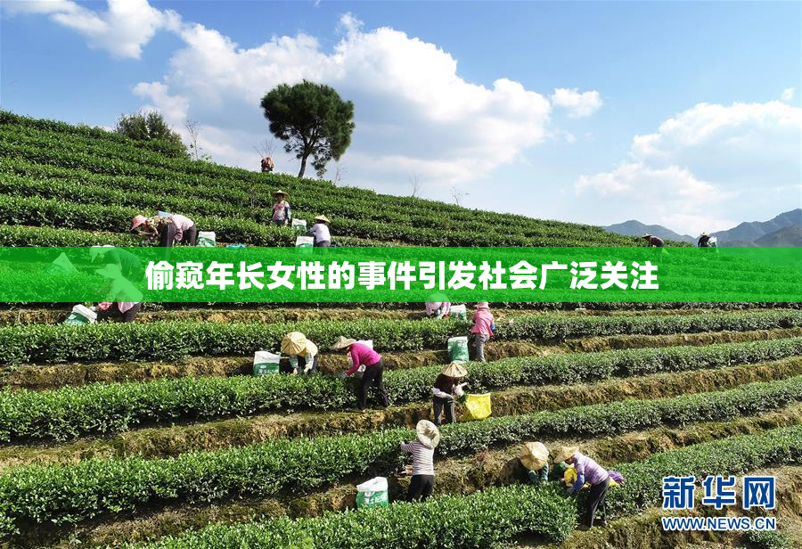 偷窥年长女性的事件引发社会广泛关注