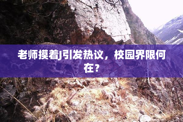 老师摸着J引发热议，校园界限何在？