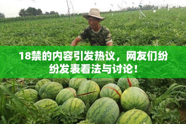 18禁的内容引发热议，网友们纷纷发表看法与讨论！