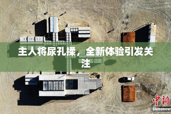 主人将尿孔揉，全新体验引发关注