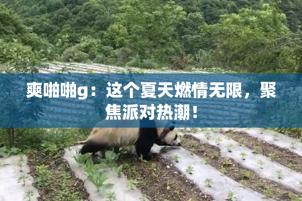 爽啪啪g：这个夏天燃情无限，聚焦派对热潮！