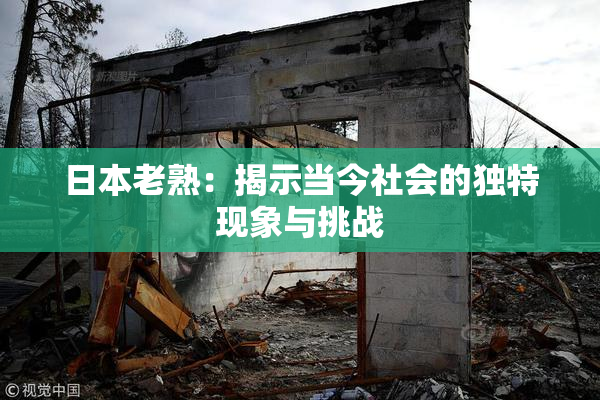 日本老熟：揭示当今社会的独特现象与挑战