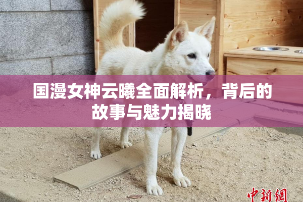 国漫女神云曦全面解析，背后的故事与魅力揭晓