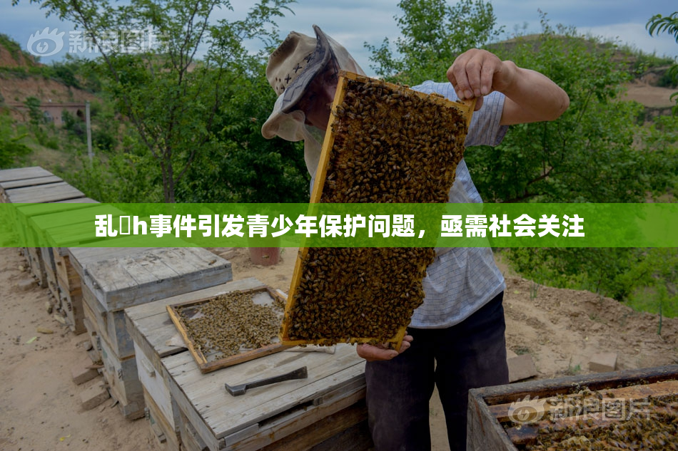 乱婬h事件引发青少年保护问题，亟需社会关注