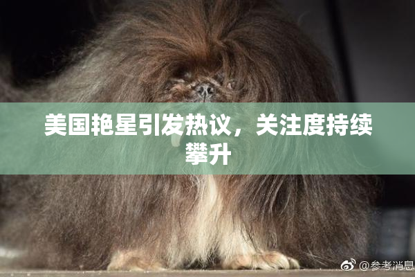 美国艳星引发热议，关注度持续攀升