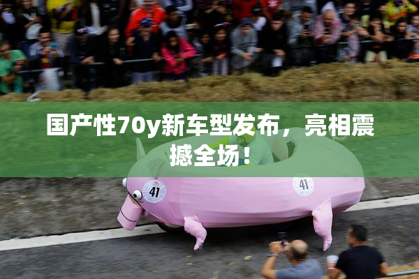 国产性70y新车型发布，亮相震撼全场！