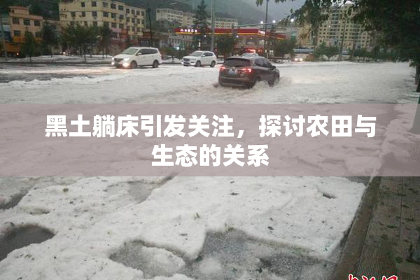 黑土躺床引发关注，探讨农田与生态的关系
