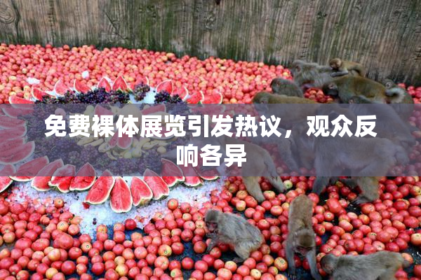 免费裸体展览引发热议，观众反响各异