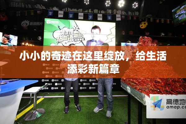 小小的奇迹在这里绽放，给生活添彩新篇章