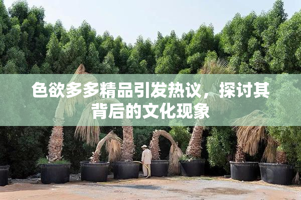 色欲多多精品引发热议，探讨其背后的文化现象
