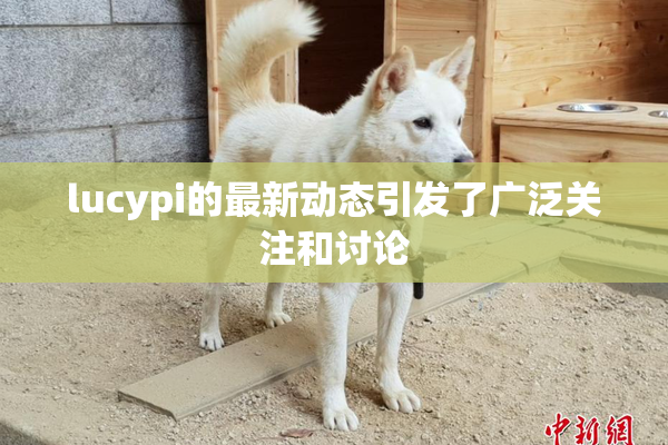 lucypi的最新动态引发了广泛关注和讨论