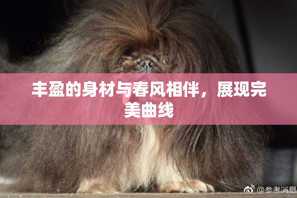 丰盈的身材与春风相伴，展现完美曲线