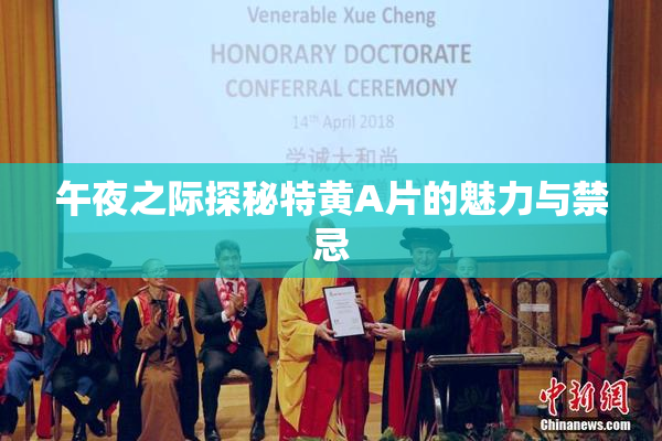 午夜之际探秘特黄A片的魅力与禁忌