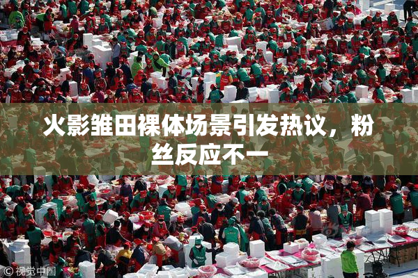 火影雏田裸体场景引发热议，粉丝反应不一