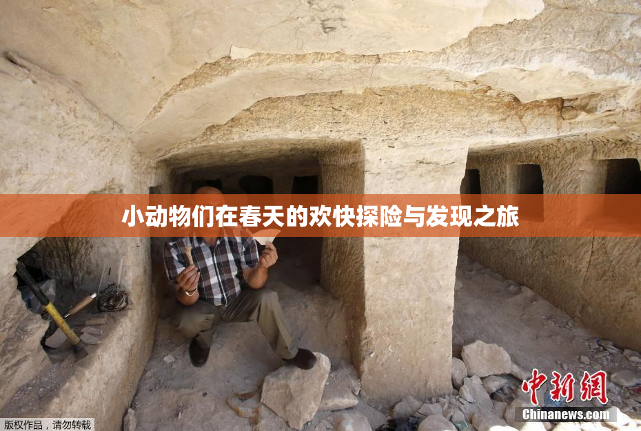 小动物们在春天的欢快探险与发现之旅