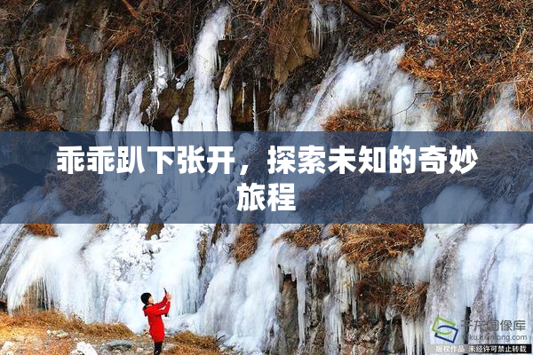 乖乖趴下张开，探索未知的奇妙旅程