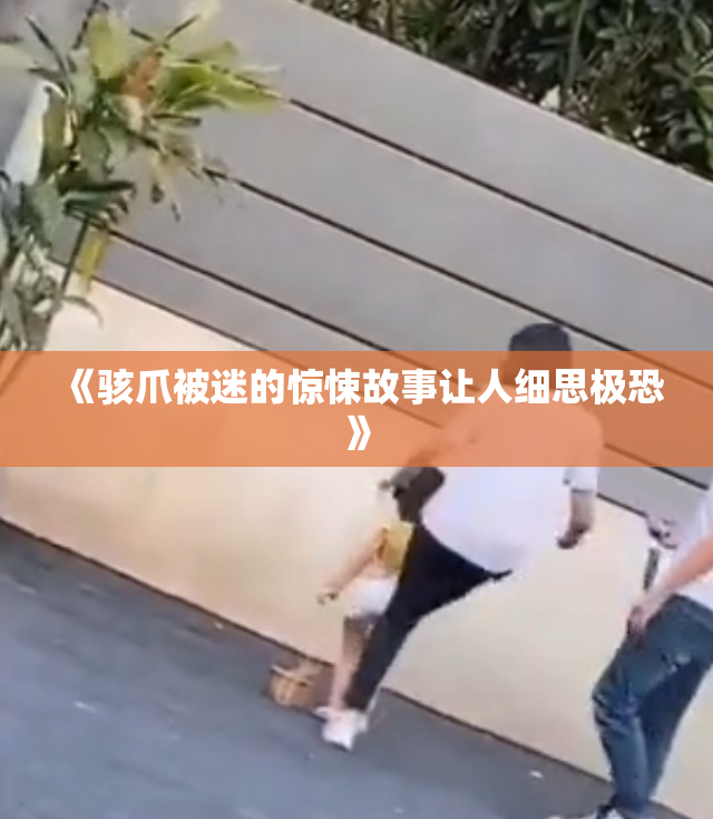 《骇爪被迷的惊悚故事让人细思极恐》