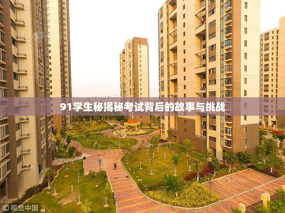 91学生秘揭秘考试背后的故事与挑战