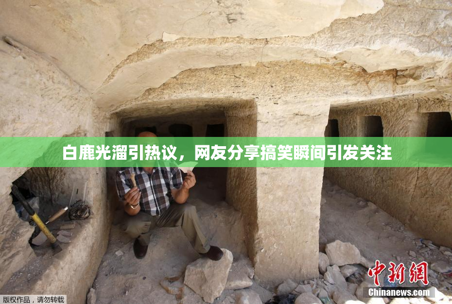 白鹿光溜引热议，网友分享搞笑瞬间引发关注