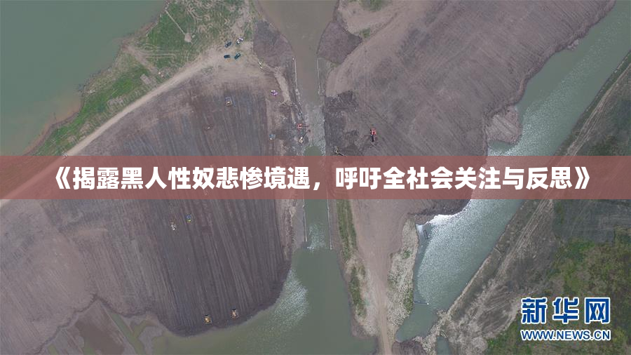 《揭露黑人性奴悲惨境遇，呼吁全社会关注与反思》