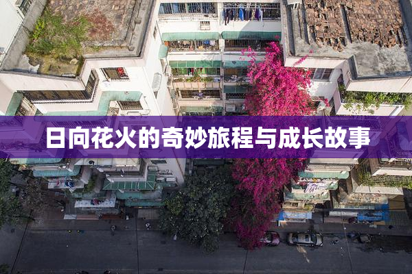 日向花火的奇妙旅程与成长故事