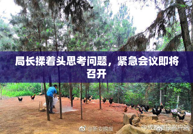局长揉着头思考问题，紧急会议即将召开