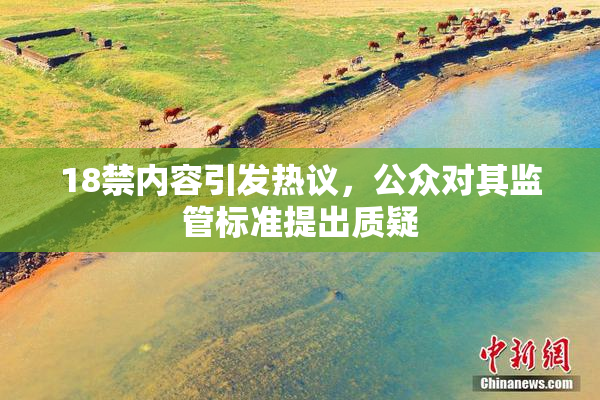 18禁内容引发热议，公众对其监管标准提出质疑