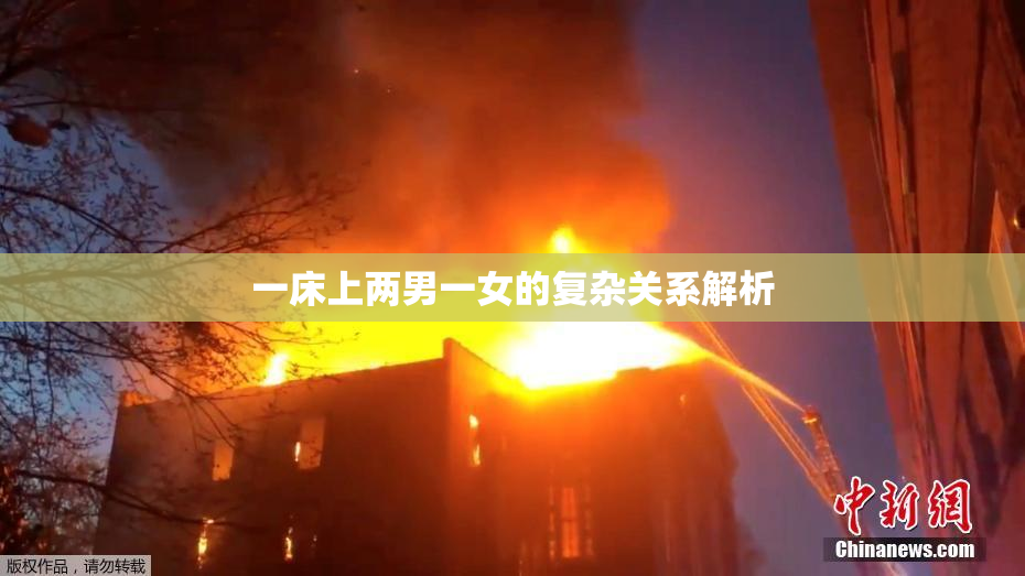 一床上两男一女的复杂关系解析