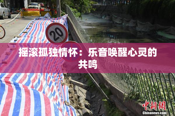 摇滚孤独情怀：乐音唤醒心灵的共鸣