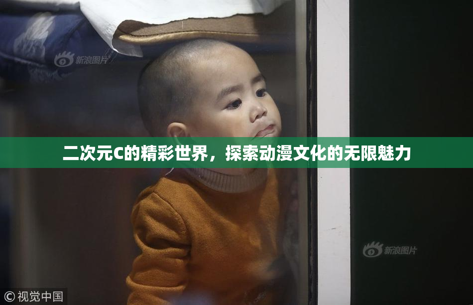 二次元C的精彩世界，探索动漫文化的无限魅力