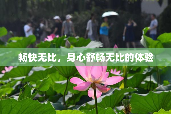 畅快无比，身心舒畅无比的体验