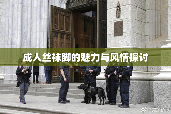 成人丝袜脚的魅力与风情探讨