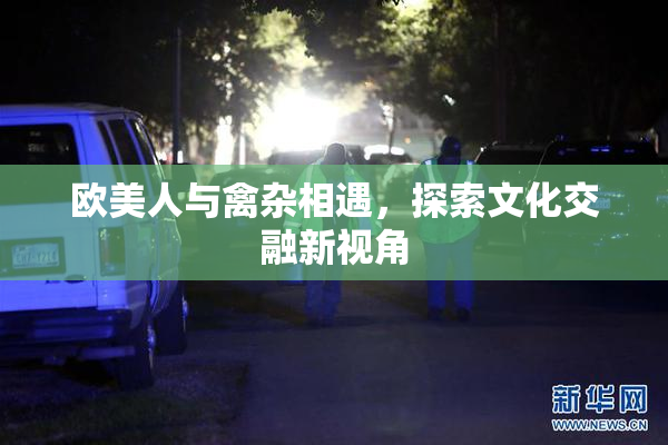 欧美人与禽杂相遇，探索文化交融新视角