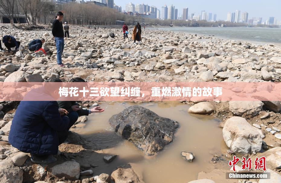梅花十三欲望纠缠，重燃激情的故事