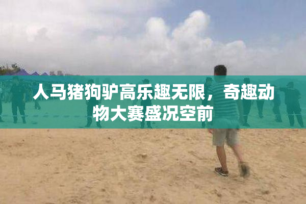 人马猪狗驴高乐趣无限，奇趣动物大赛盛况空前